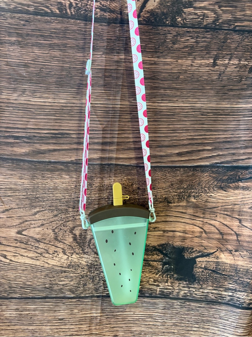 Mint Green Watermelon Crossbody canteen / water bottle with Pink Strap